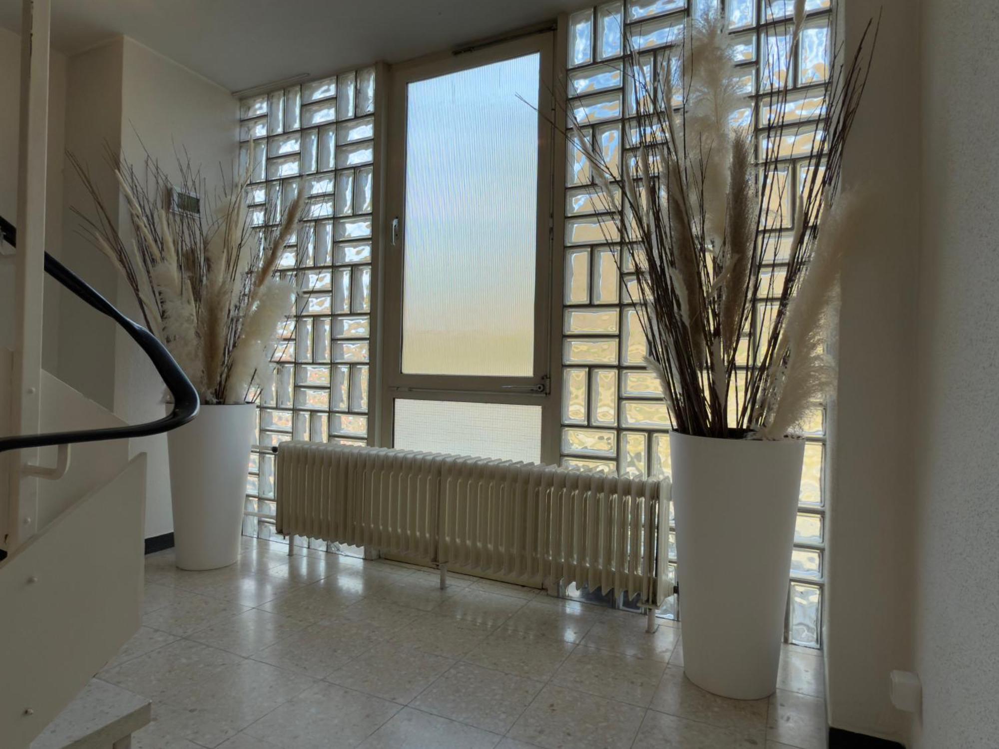 Hotel "Zur Schoenen Aussicht" 科赫姆 外观 照片